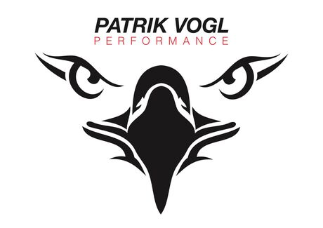 Patrik Vogl Performance